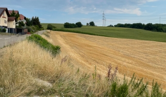 Bild - Baugebiet (6)Q.jpg