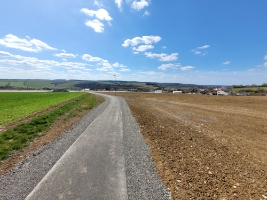 20250408_132415.jpg