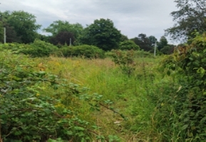 Foto12.jpg