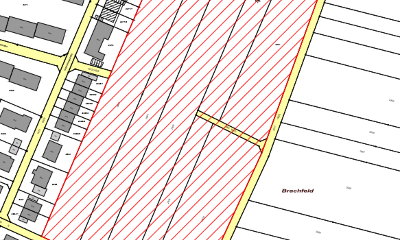 BG "Brachfeld" Bühl-Weitenung