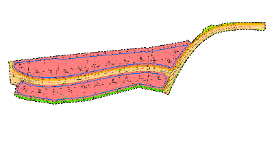 'Breite Süd - 2. Erweiterung' – Einzel- und Doppelhäuser | 2. AUSSCHREIBUNG